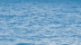 bind_free044.jpg