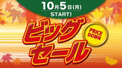 ビッグセール開催